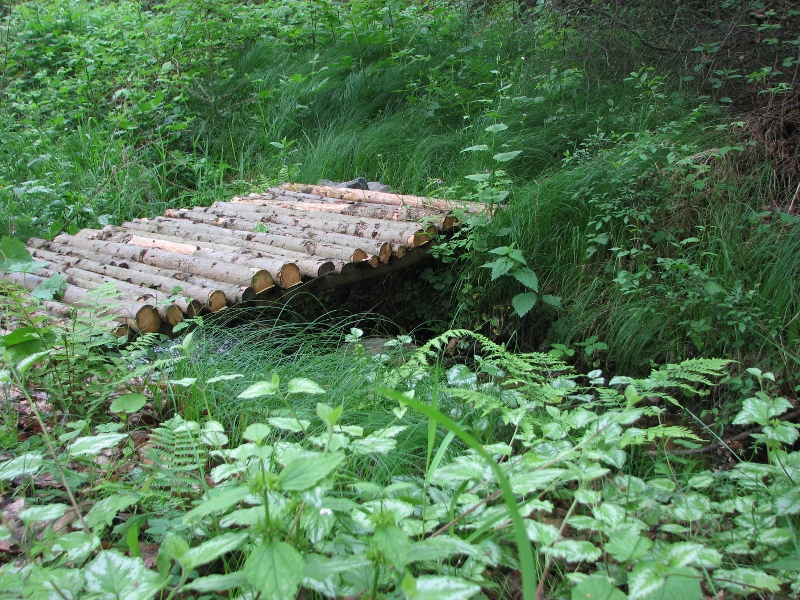 Dřevěný můstek přes potok